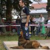 foire-haricots 2011-09-17et18